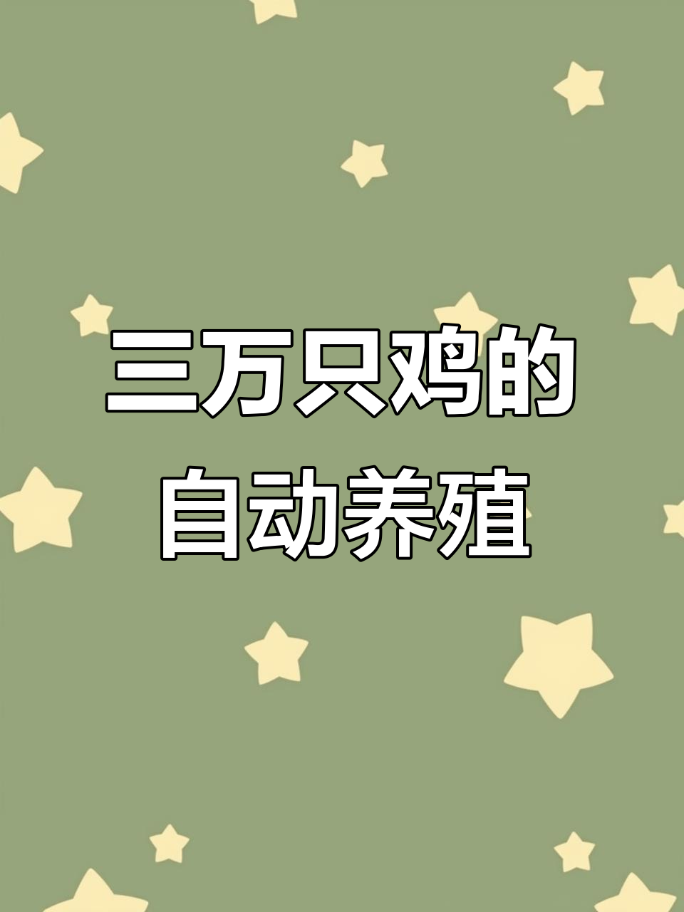 五列四层自动化蛋鸡设备,三万只鸡轻松养殖