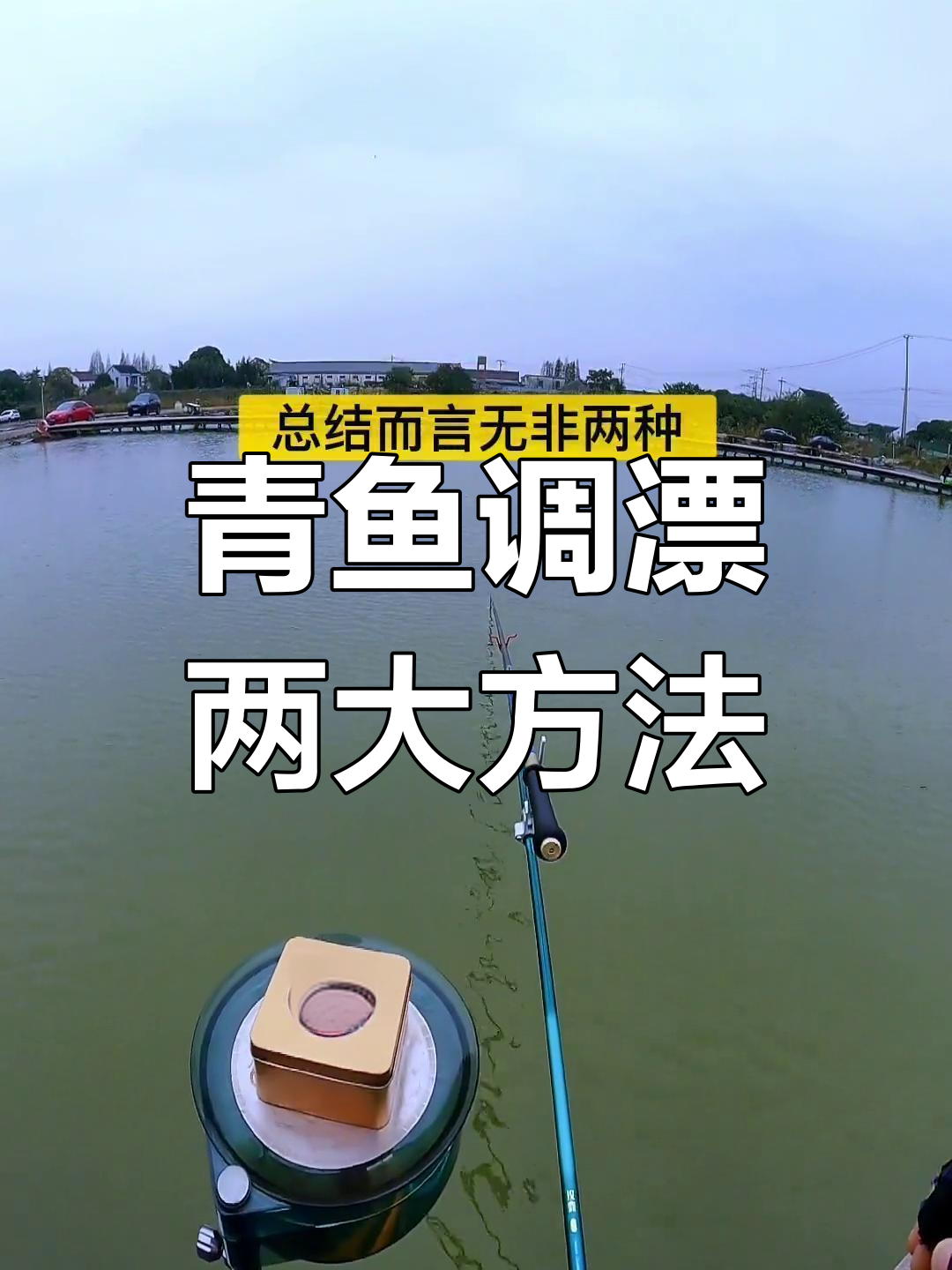 黑坑青鱼调漂技巧大揭秘:两种常用钓法