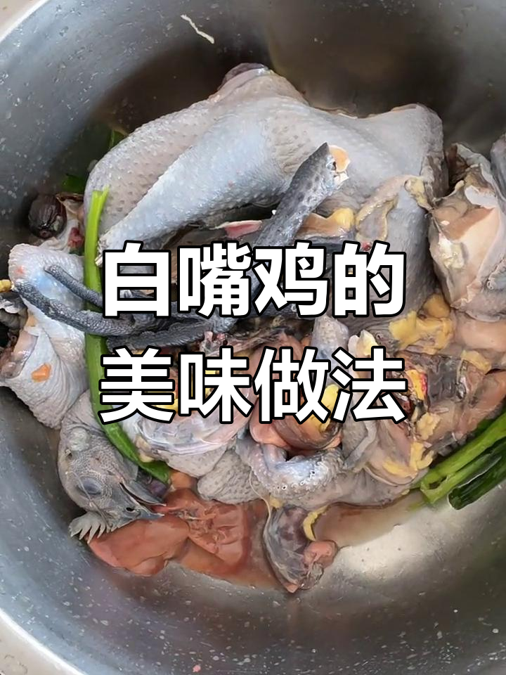 美味白嘴鸡,炒锅上的享受