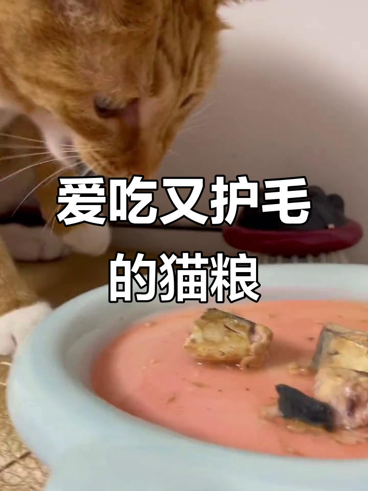 毛发问题困扰?试试这款鲭鱼罐头,猫咪超爱!