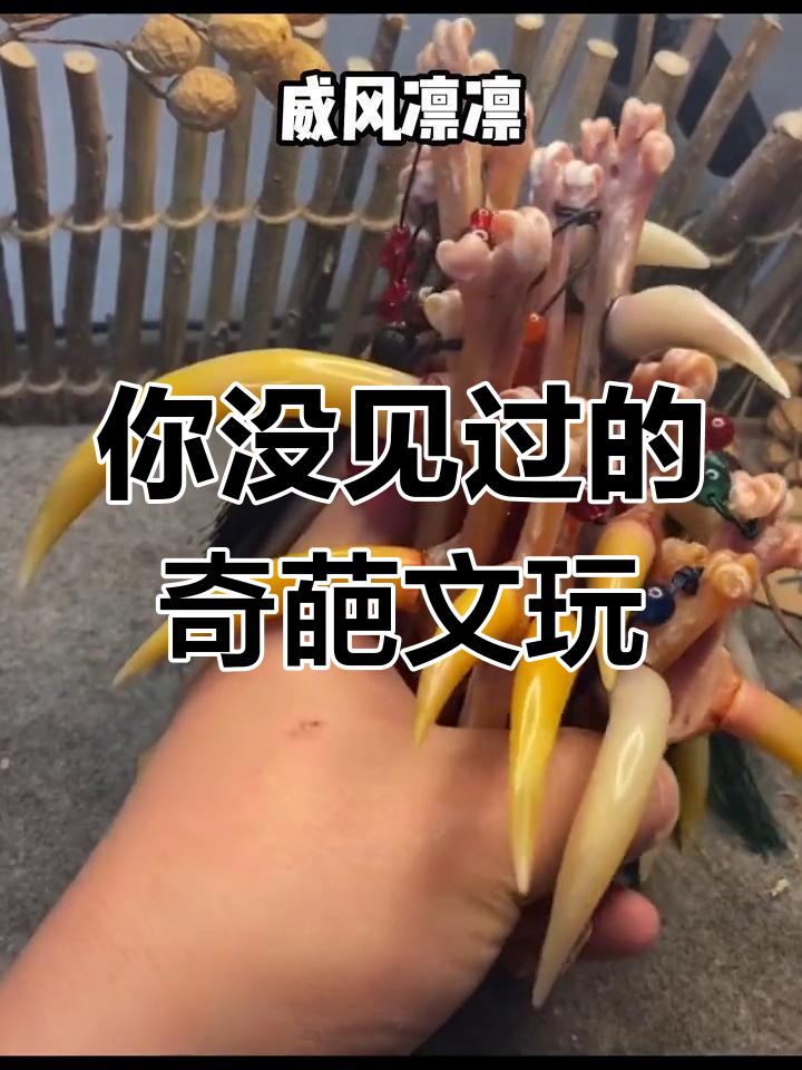 九种你从未见过的奇特文玩,公鸡脚趾、黑驴蹄与青鱼石