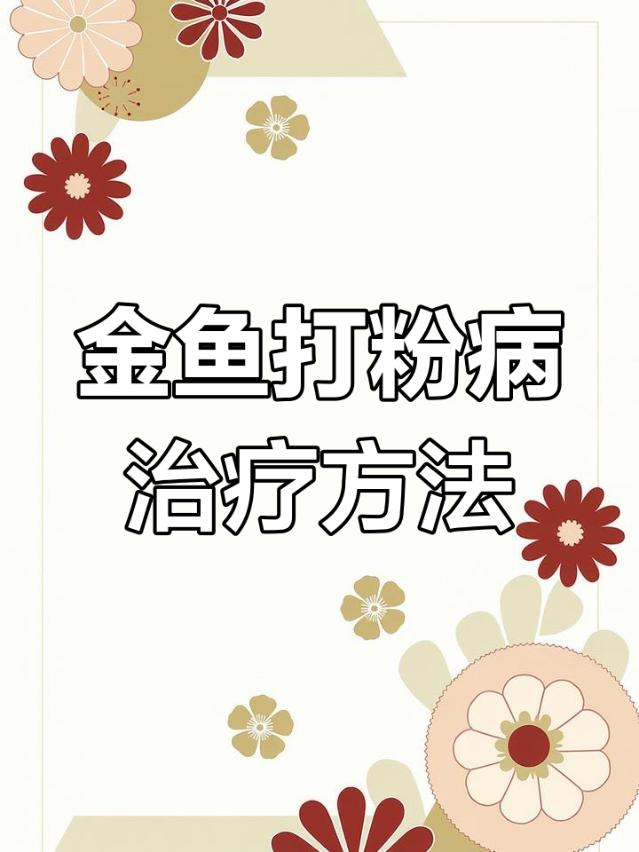 打粉病治疗全攻略:如何有效应对金鱼白磷症状