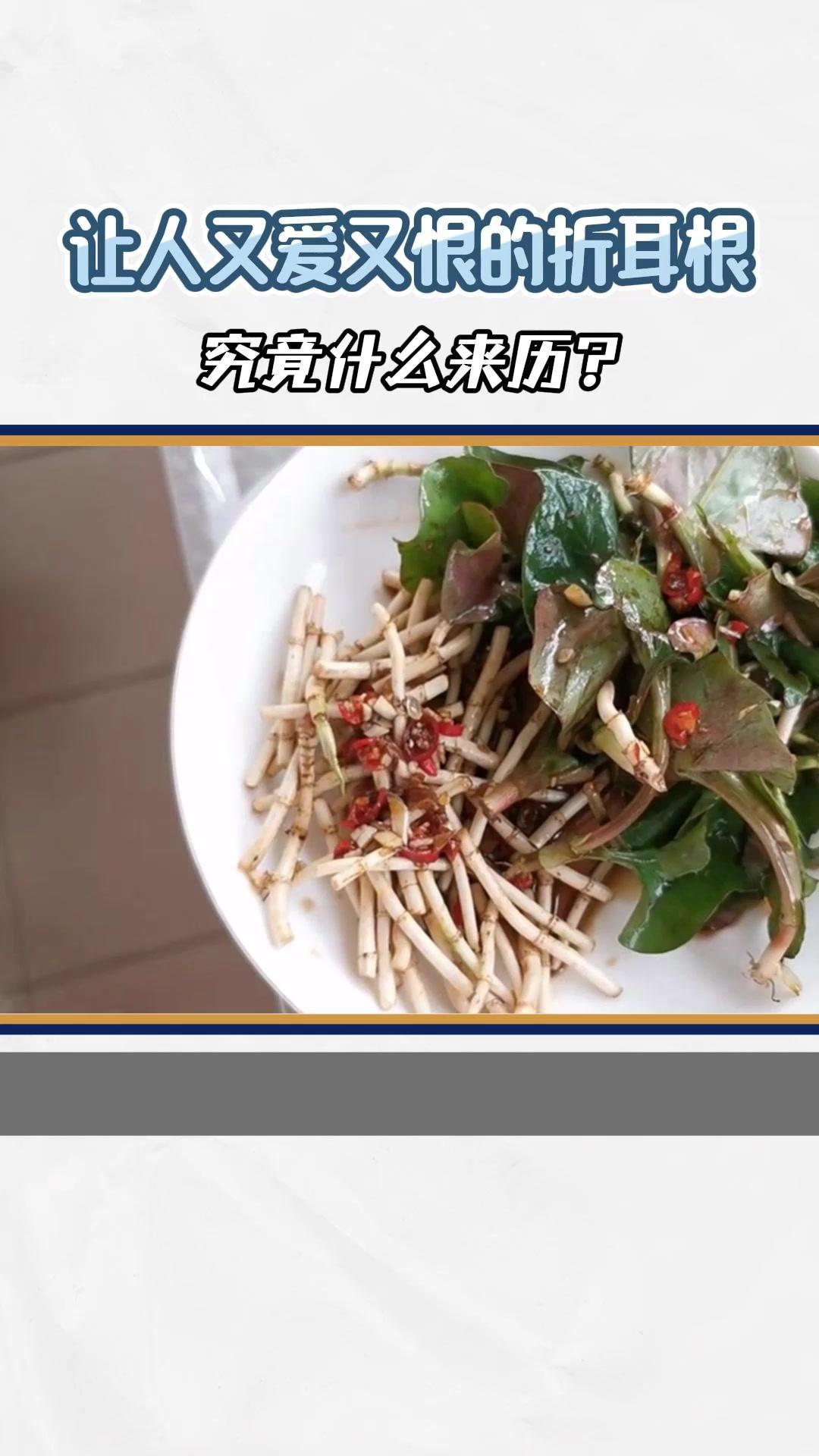 让人又爱又恨的折耳根 究竟什么来历?科普 折耳根  人体内的OR6A2这一嗅觉基因,决定着