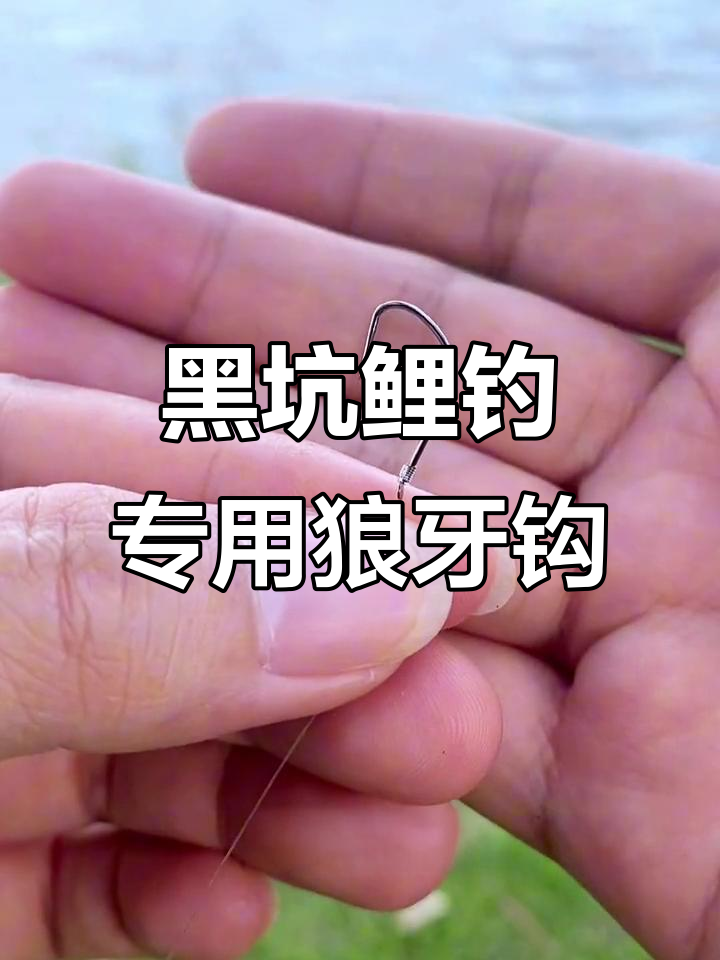 竞技狼牙鱼钩,专攻黑坑鲤鱼的秘密武器