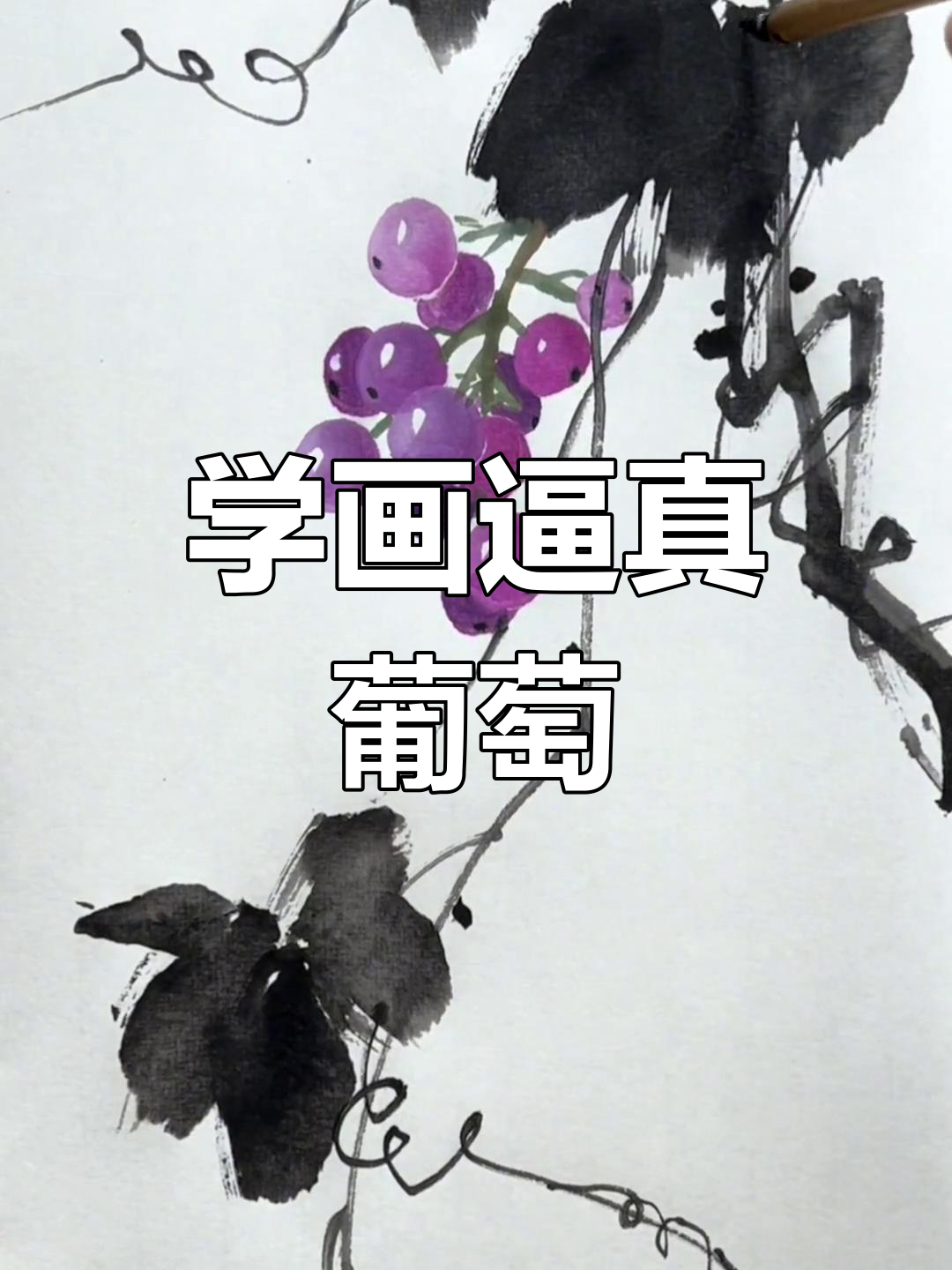 葡萄画法全解析:从叶片到藤蔓,轻松掌握