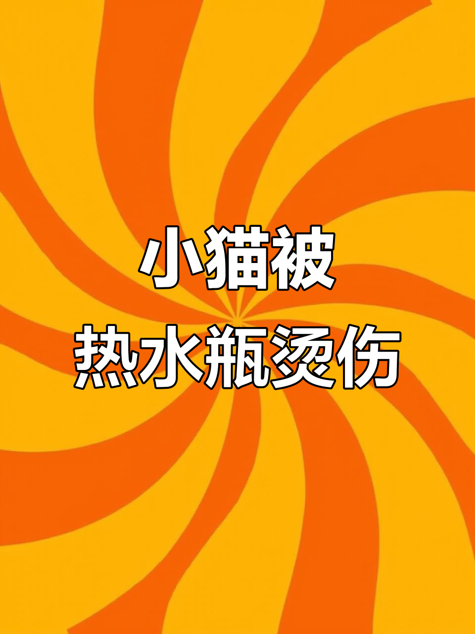 猫爸妈疏忽,小猫烫伤险些丧命