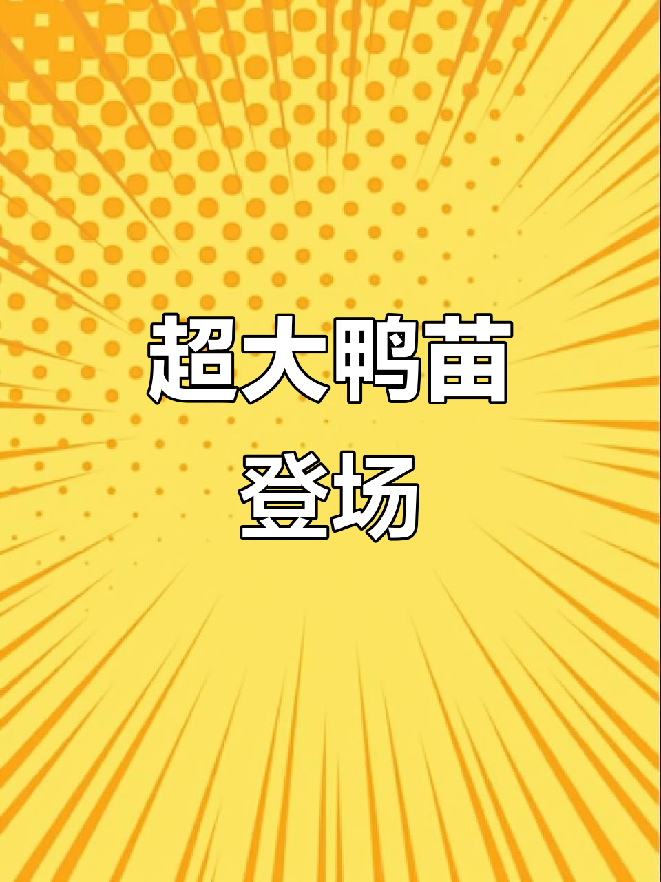 鸭苗孵化场爆款粉,超大号来袭!