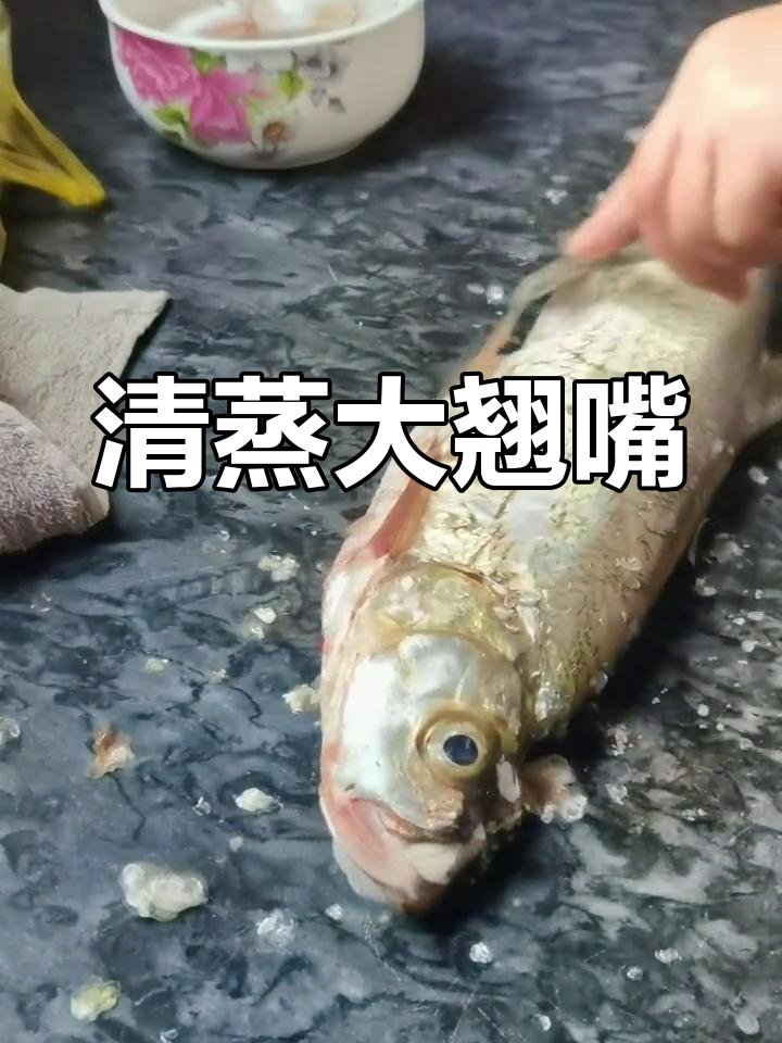汉江禁鱼后,老河口排子河翘嘴鲌最美味