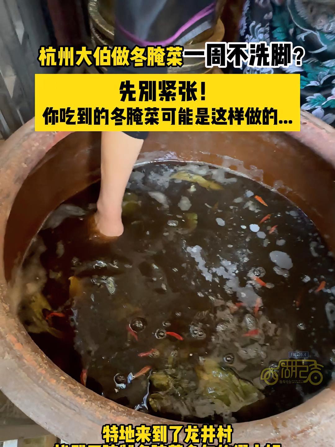 杭州 大伯为做冬腌菜忍一周不洗脚?先别紧张!你吃到的冬腌菜可能是这样做的……冬腌菜 冬季美