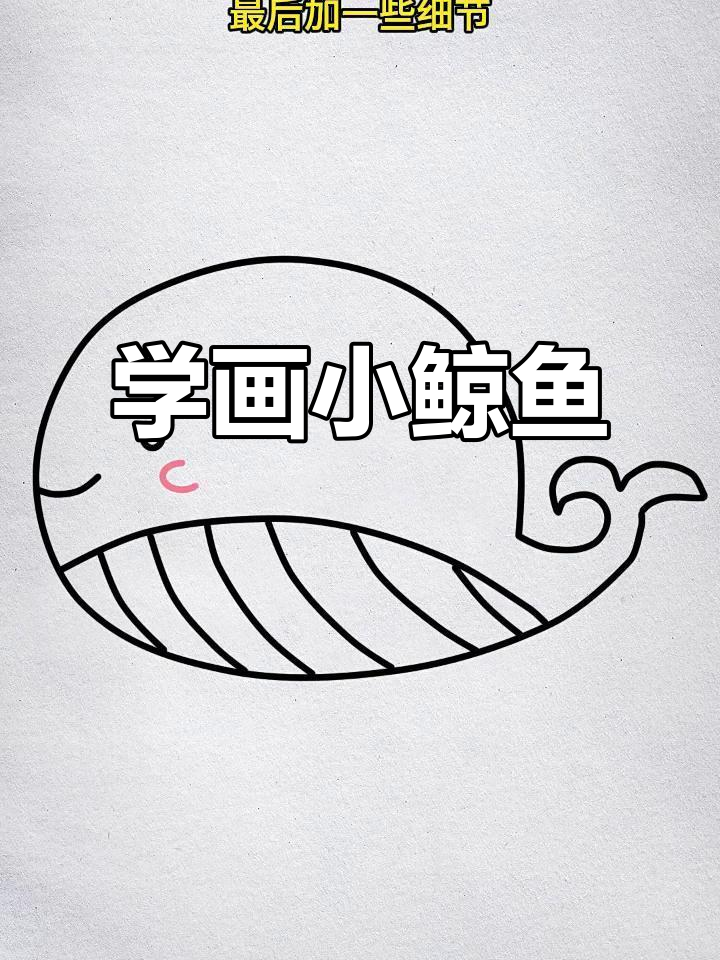 轻松学画可爱鲸鱼,步骤简单又有趣