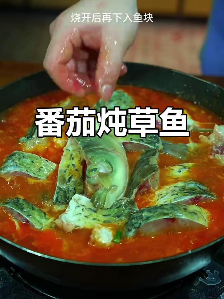 番茄炖草鱼,酸爽开胃又下饭