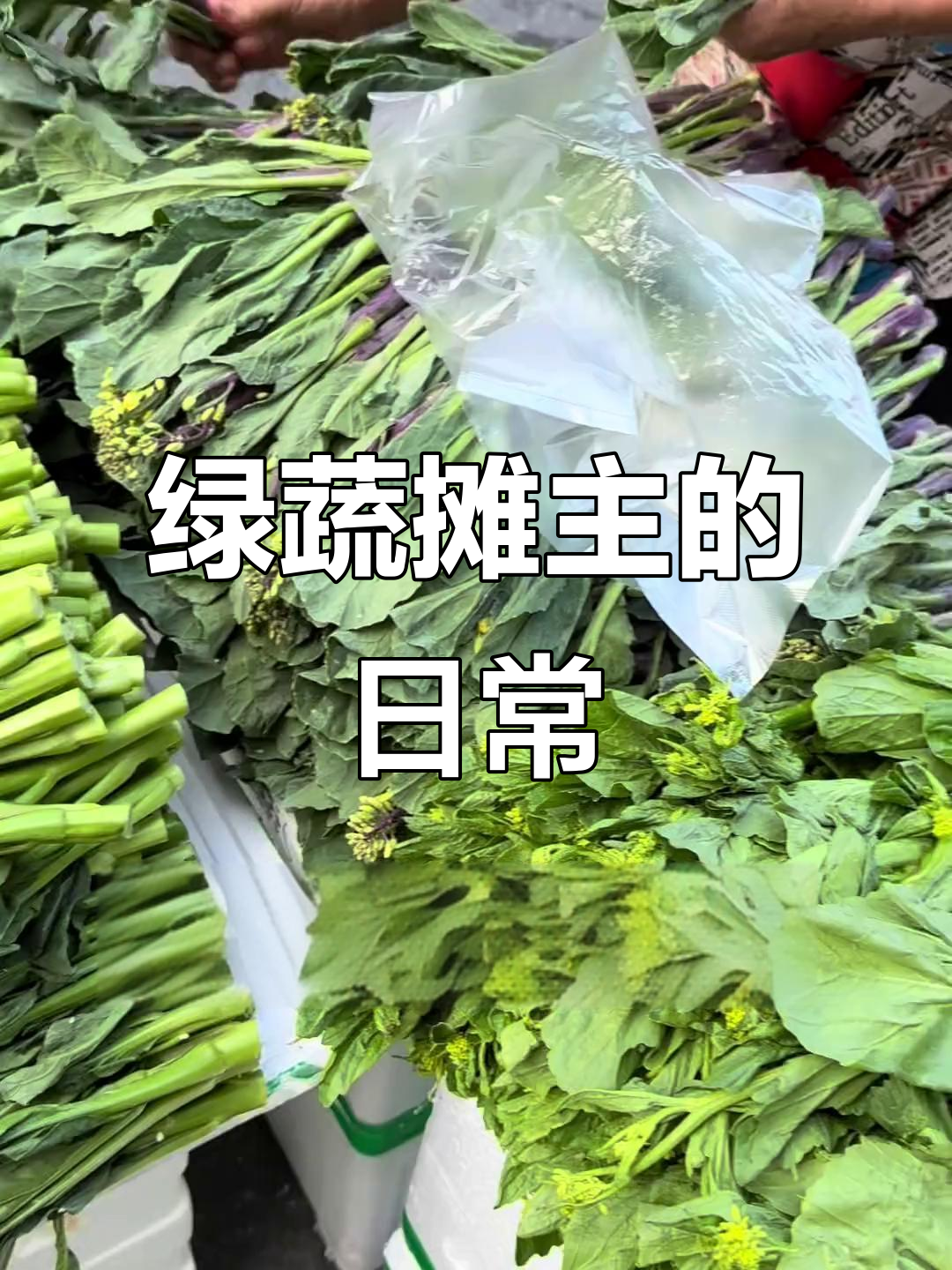 揭阳卖菜弟的绿色蔬菜摊位,带你了解摆摊生活的真实面貌