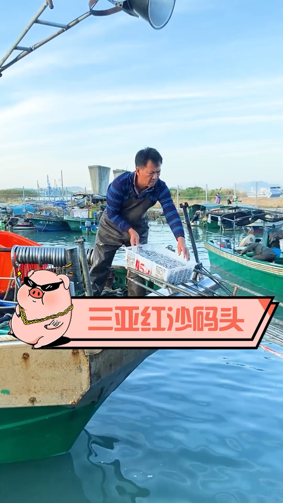 三亚美食|起早来红沙码头海鲜价格超便宜