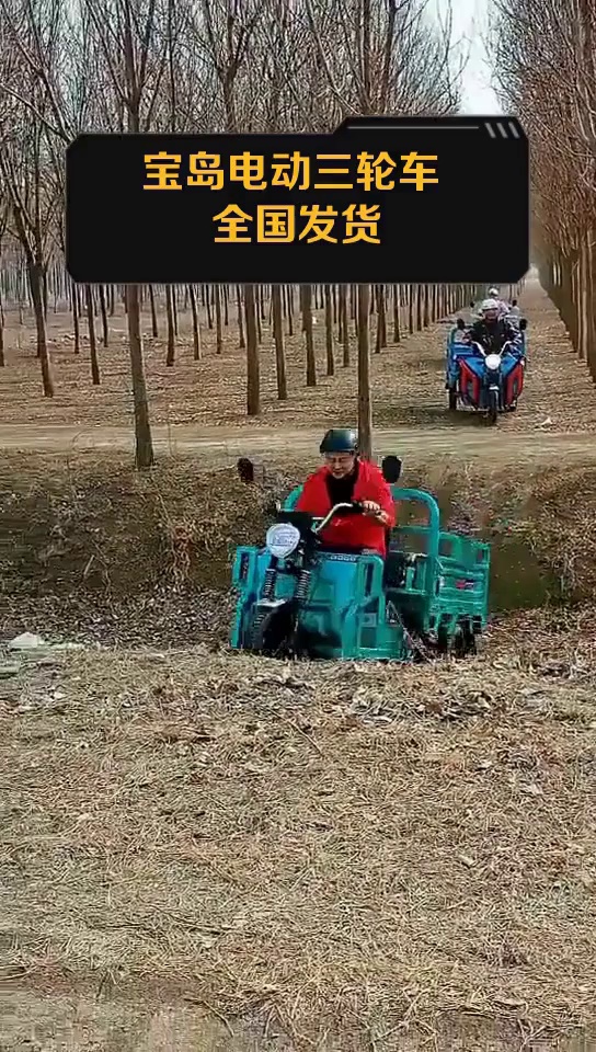 宝岛电动三轮车 全国发货