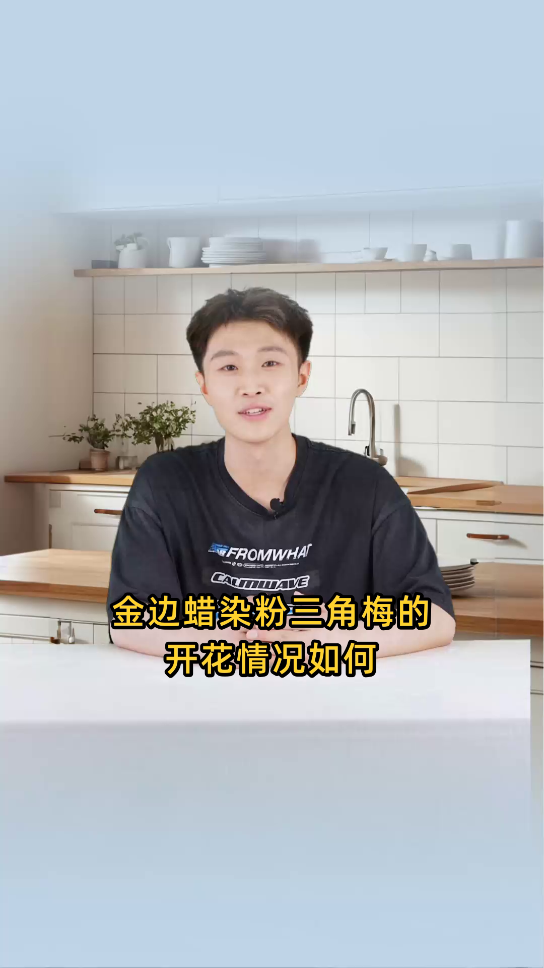 金边蜡染粉三角梅是否容易开花,其勤花程度如何?