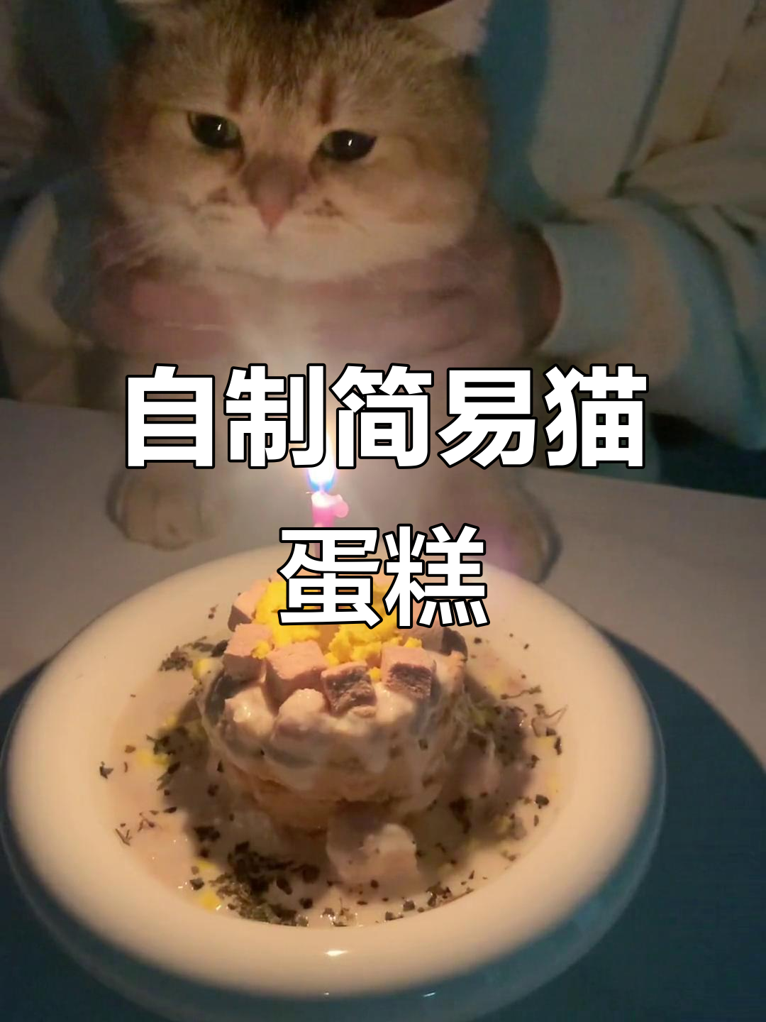 猫咪生日蛋糕DIY,简单又美味!