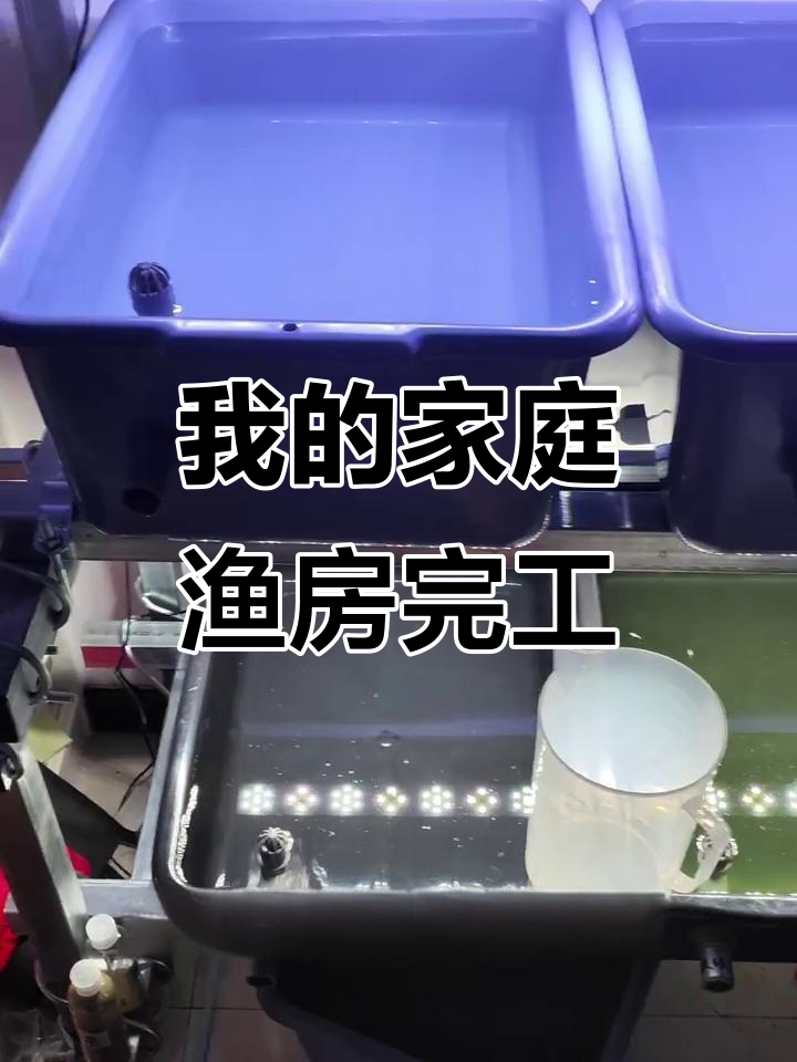 室内鱼房打造记：从杂物间到养鱼天堂