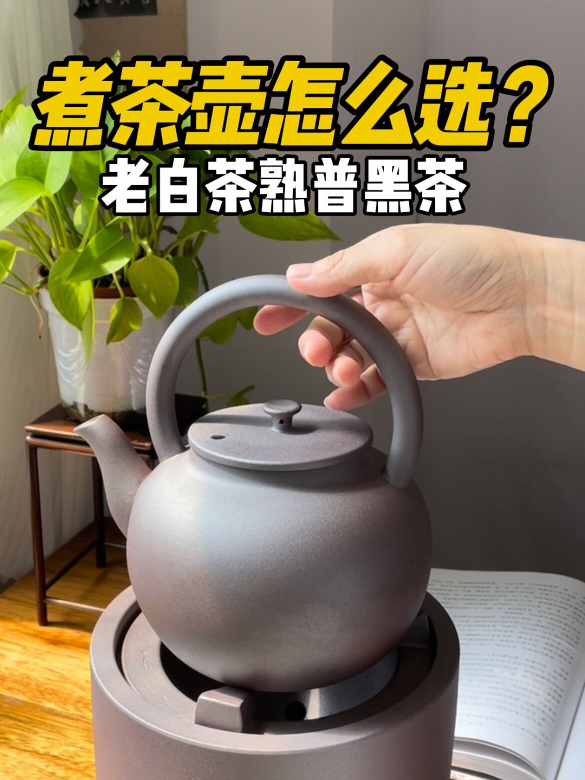 煮茶壶怎么选?煮老白茶熟普黑茶就用它