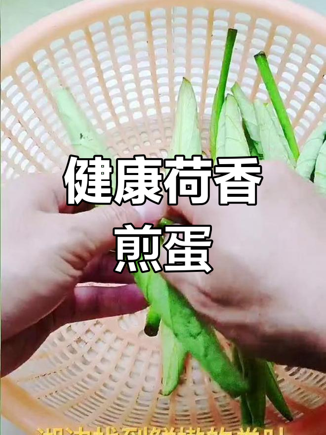荷叶炒鸡蛋,轻松瘦身