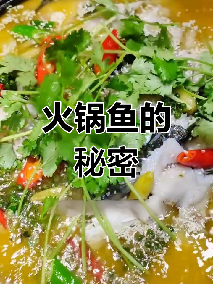 火锅鱼的美味秘诀,配料搭配让你回味无穷!