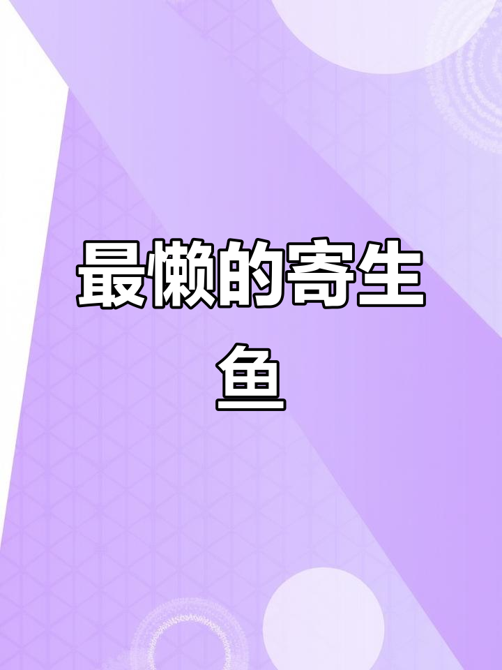 印鱼:懒得游,竟能吸附鲨鱼身上“搭顺风车”