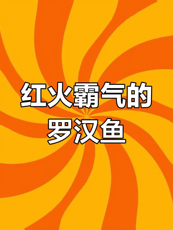 古典幻彩罗汉鱼，火焰般的霸气