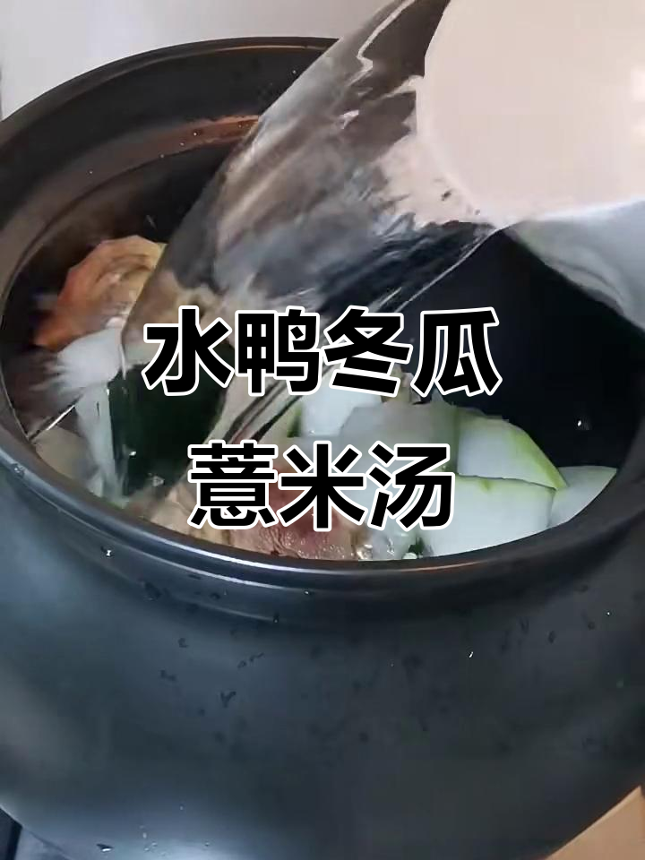 冬瓜薏米水鸭汤,清热解暑又滋补