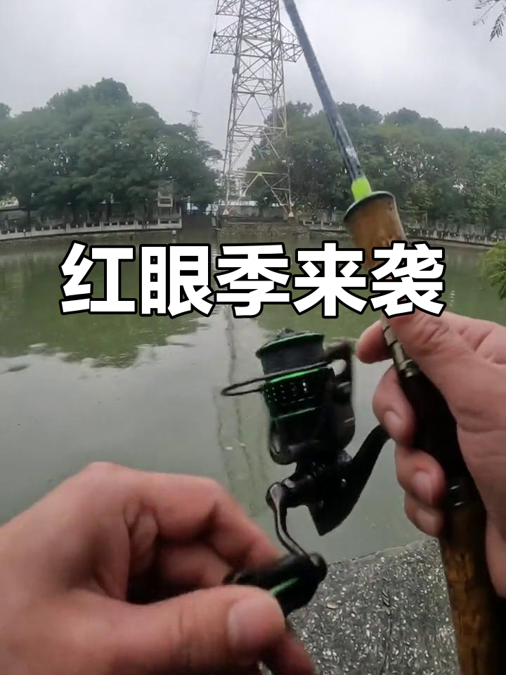 春天来临,红眼鱼活跃,轻松捕获三斤大物!
