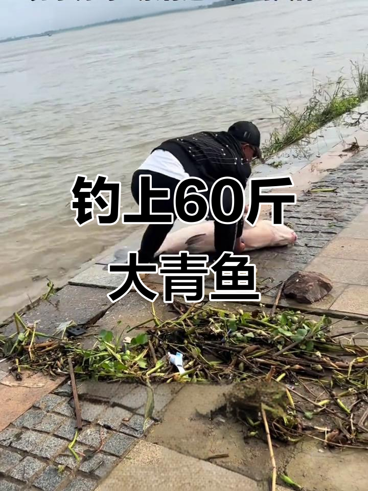 长江边钓获60斤大青鱼,竟有人出1000元购买!