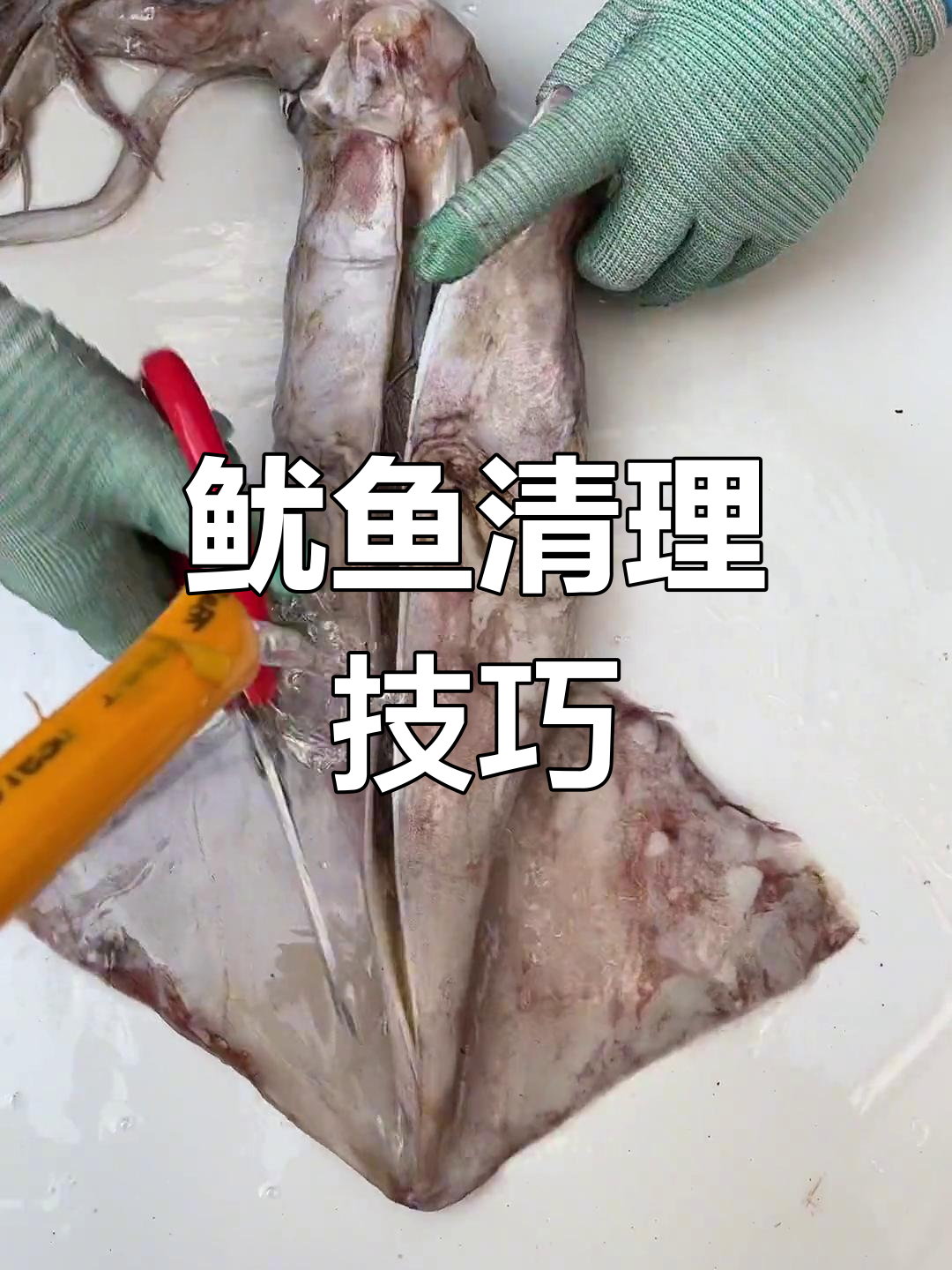 鱿鱼内脏大揭秘,哪些能吃哪些不能?