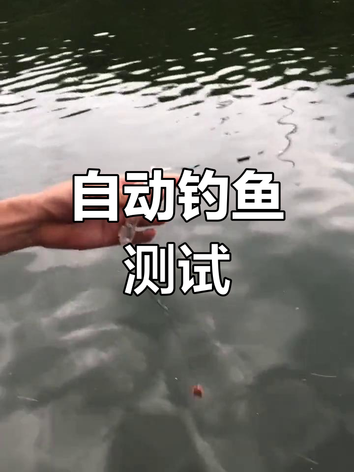 自动钓鱼神器实测,灵敏度惊人!
