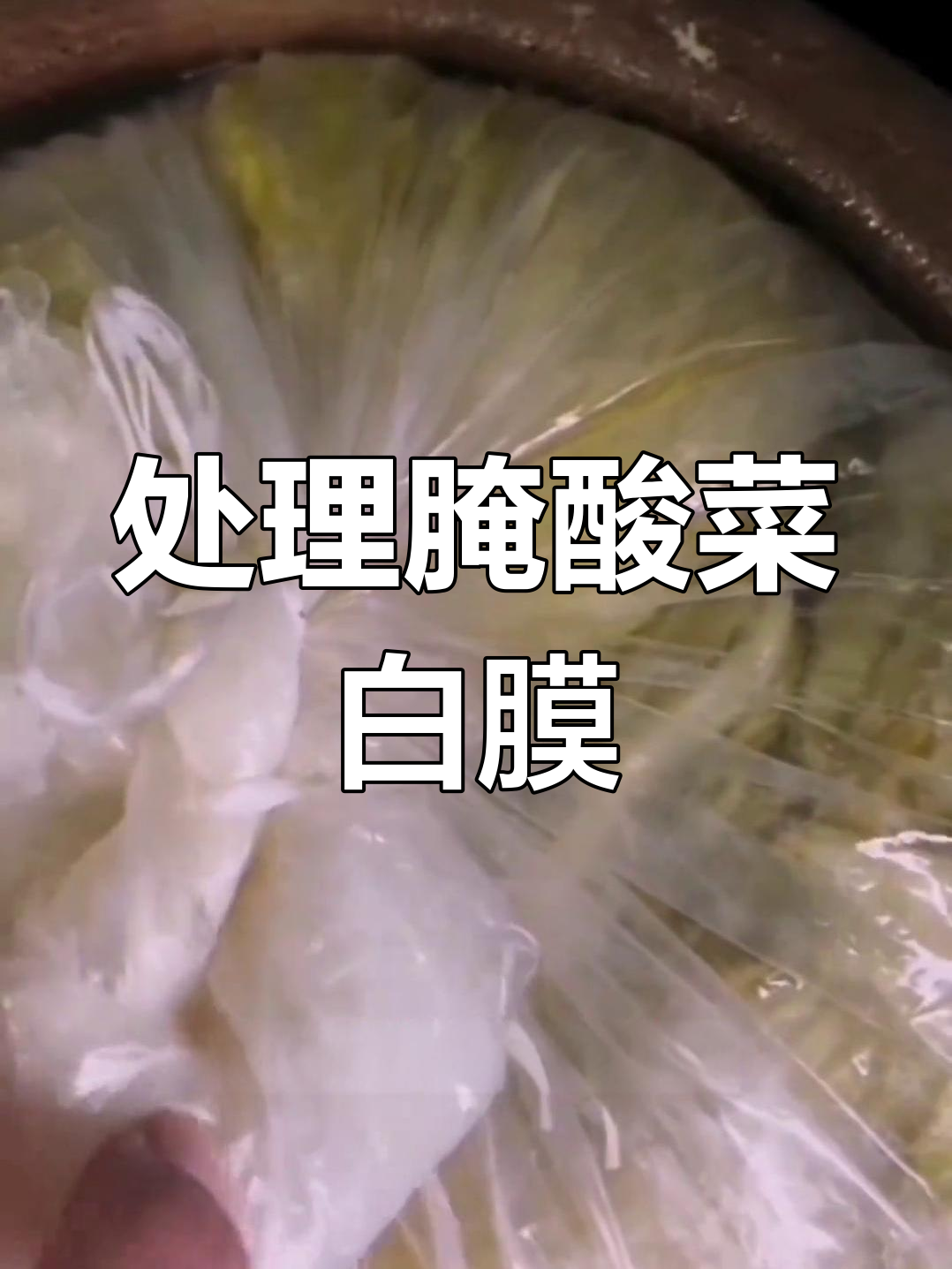 腌酸菜长白膜?教你轻松解决