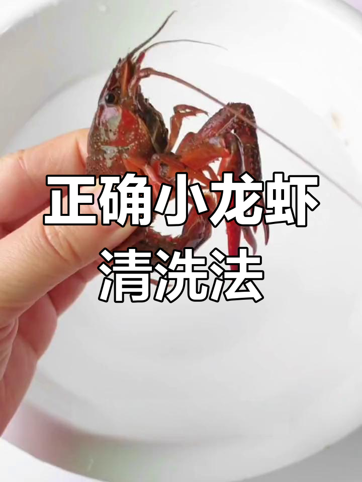 小龙虾清洗全攻略,教你如何轻松去头、线与脏物