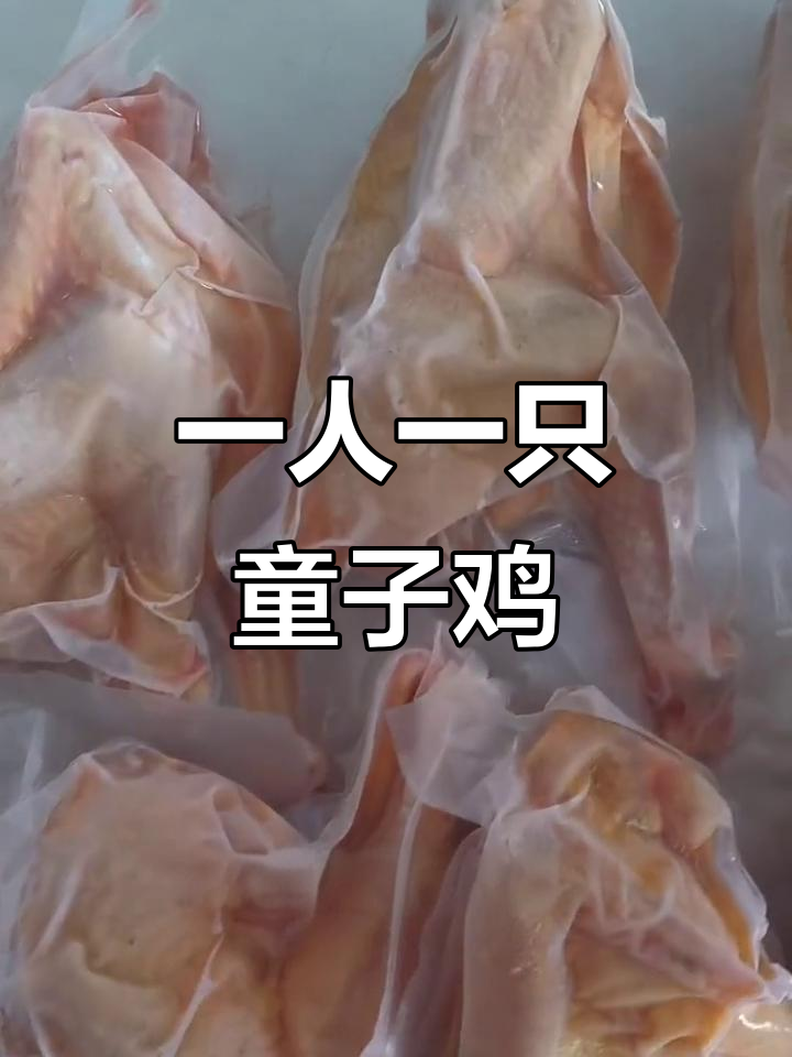 静梅吃童子鸡,提高免疫力,散养土鸡现杀发货