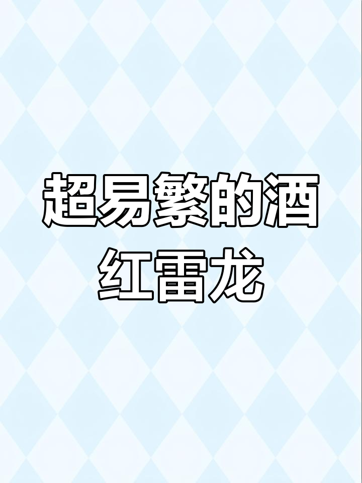 酒红雷龙:繁殖能力超强,适合新手入门