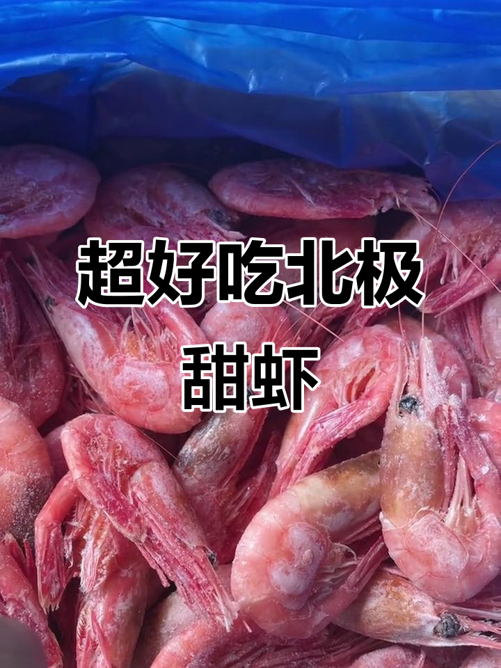 北极甜虾大揭秘,颗颗饱满,六零到八零规格超值美味