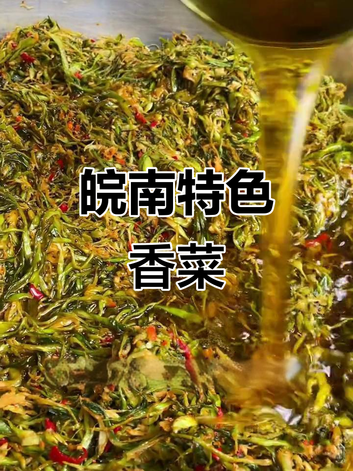 安徽皖南特产香菜,鲜香脆嫩,吃稀饭面条必备
