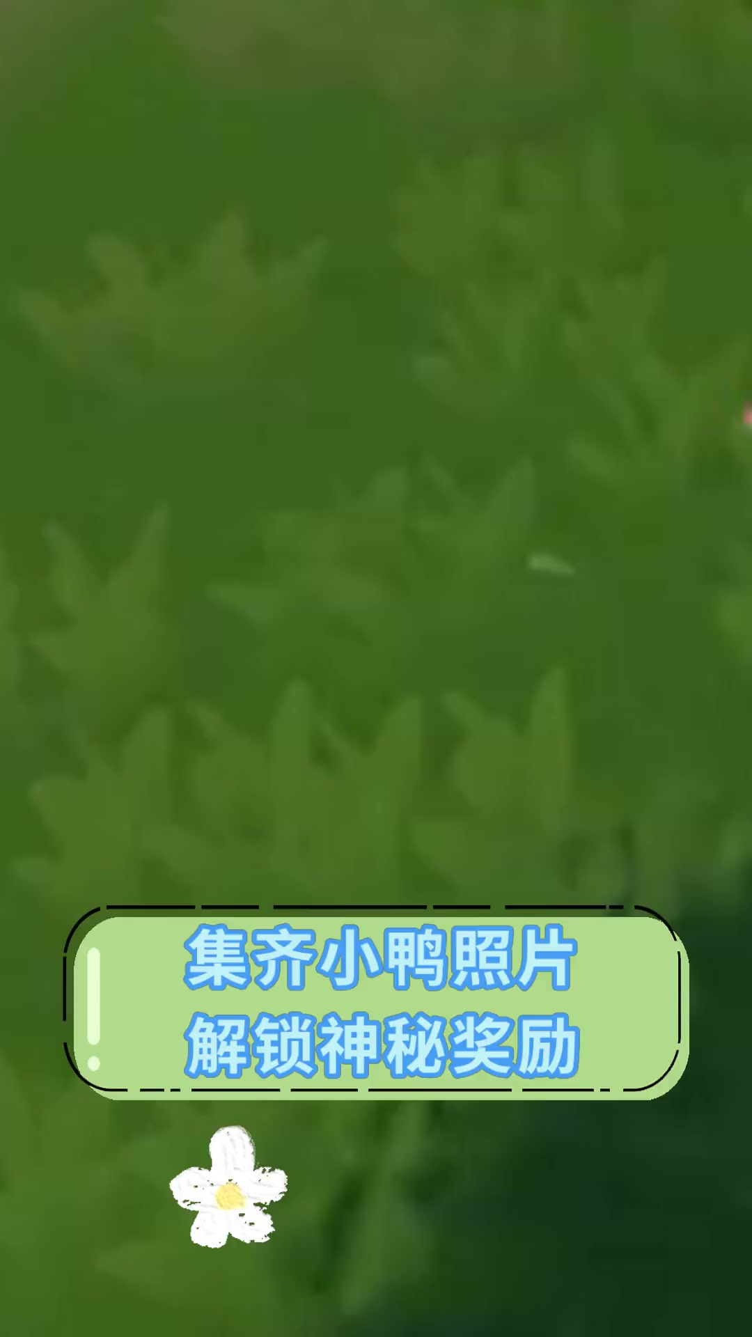 集齐小鸭照片解锁神秘奖励