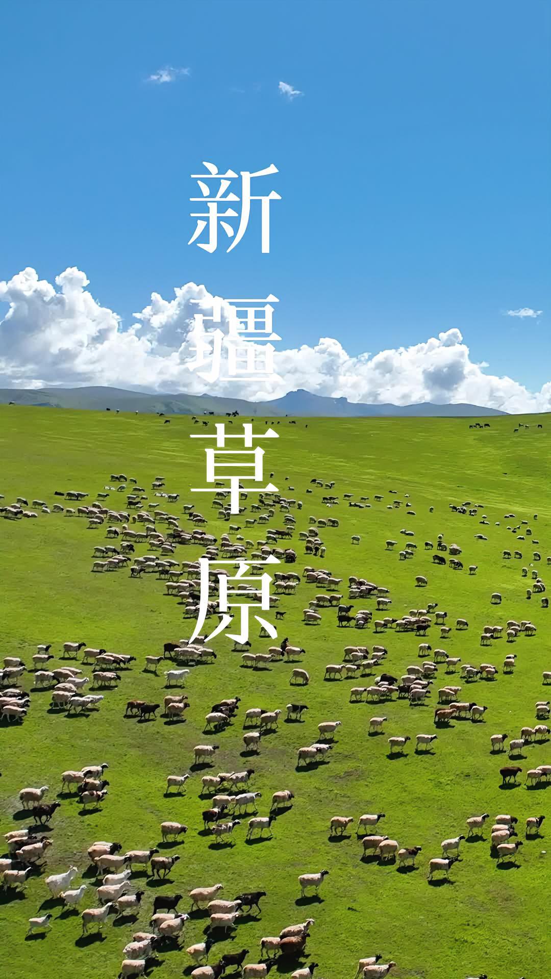 如果说这辈子一定要去看一趟草原,那新疆这几个地方你务必了解一下,不出片我把相机给你,最美的