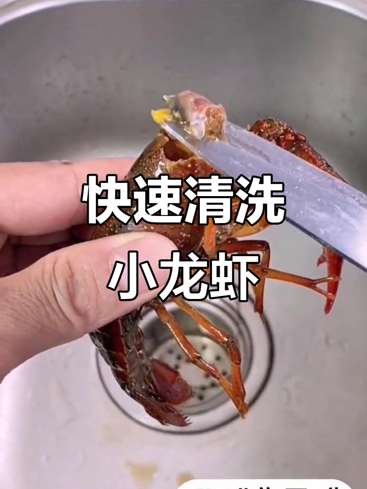 小龙虾清理全攻略,轻松去头、虾线与腮