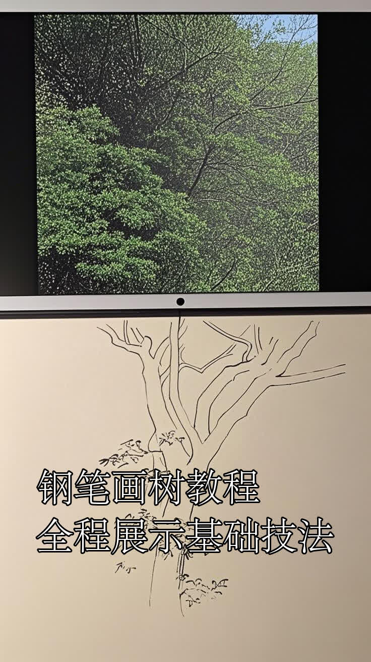 钢笔画树教程,全程展示基础技法