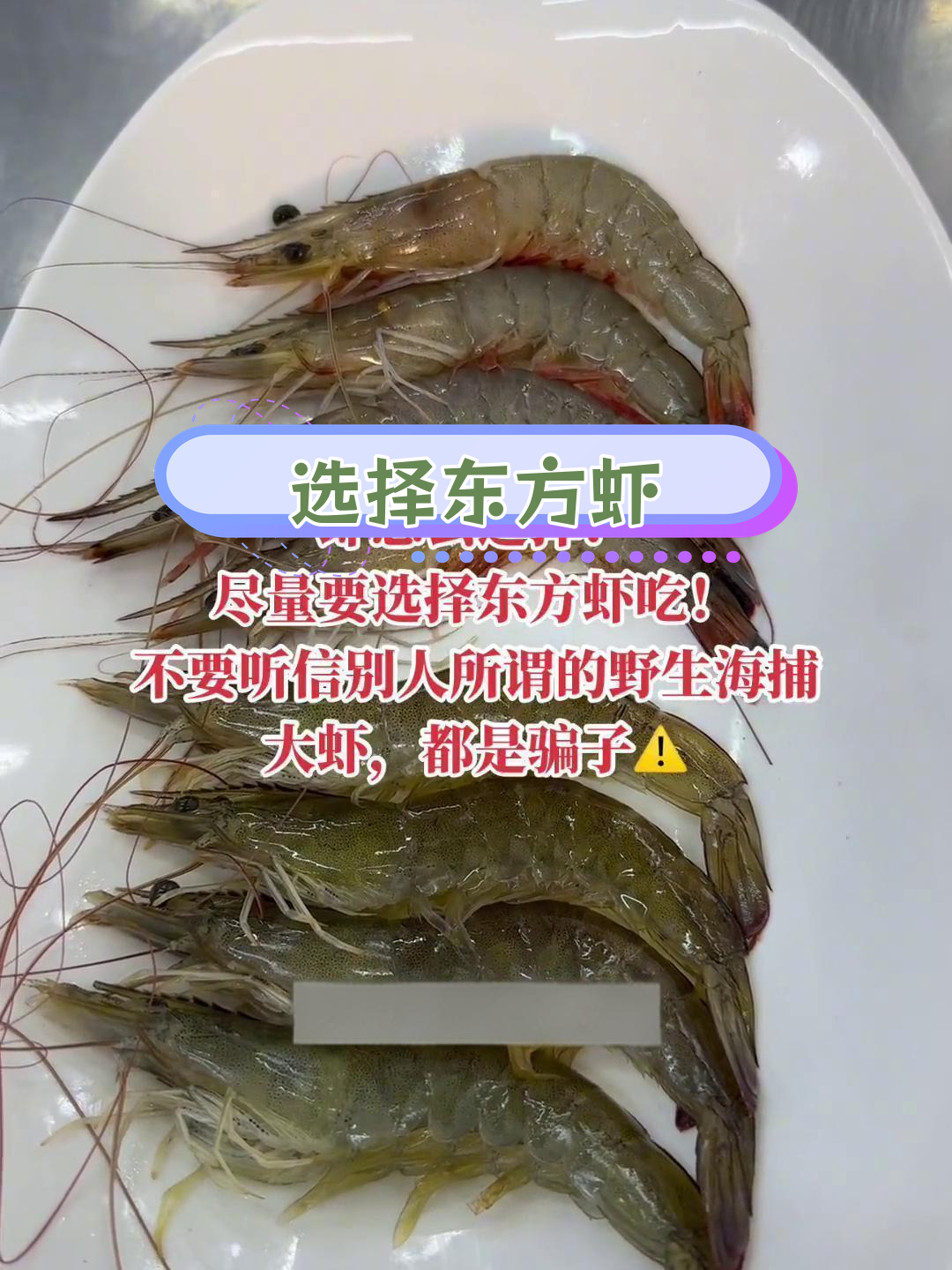 东方虾比白虾更优选
