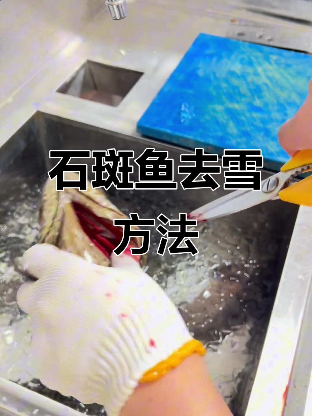 石斑鱼放血技巧大揭秘,轻松去除腥味