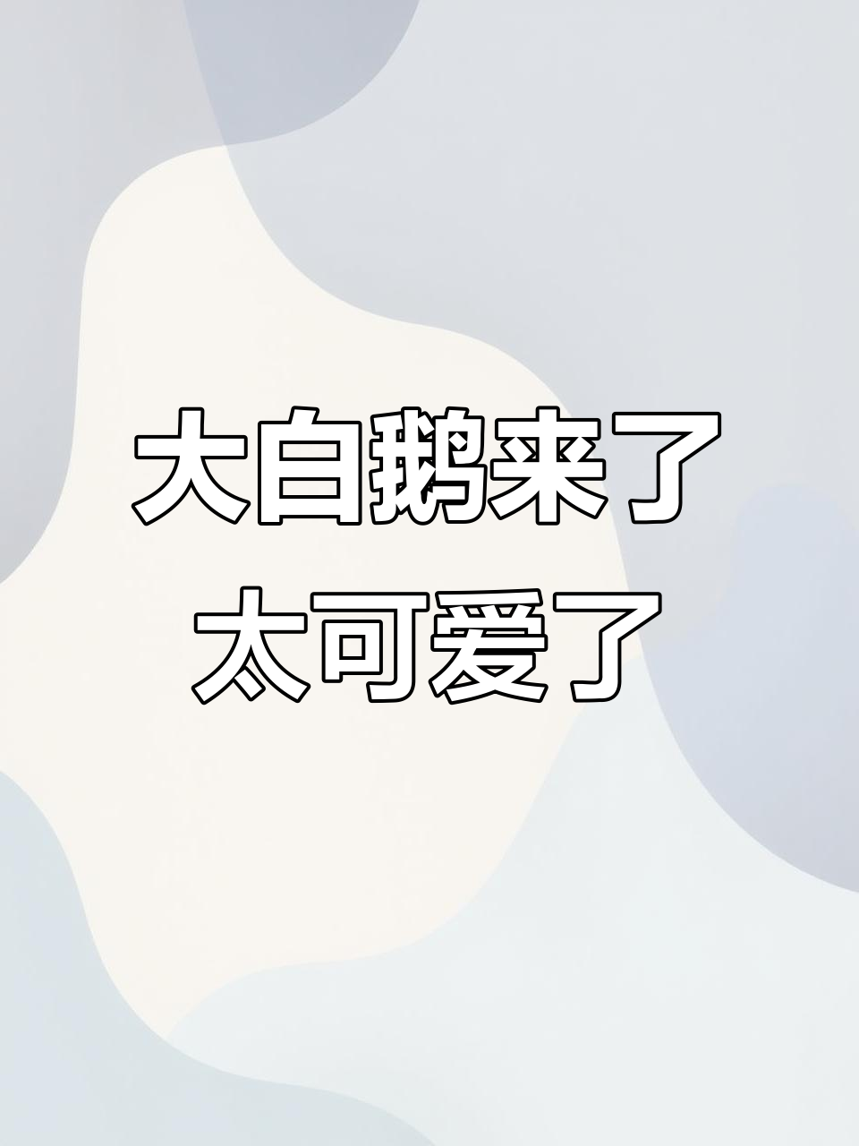 心情不好也要拍视频,大白鹅带来解压时刻