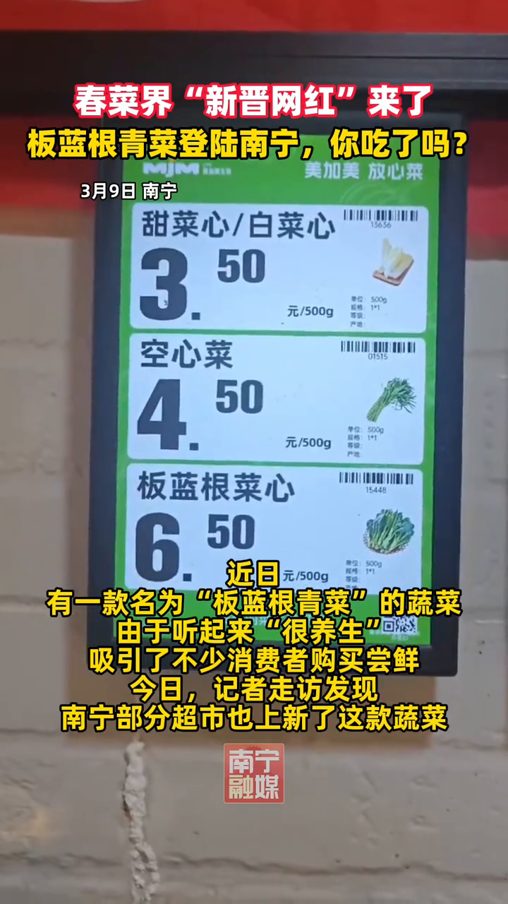 “板蓝根青菜”是啥菜?有吃过这款蔬菜的朋友吗?
