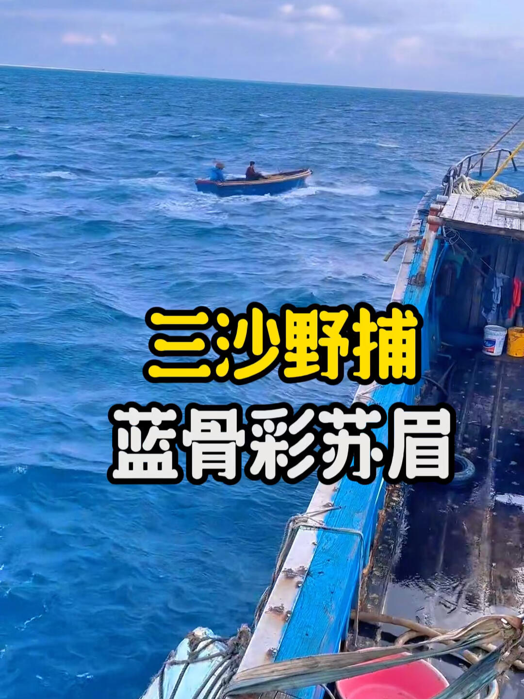 终于找到堪比苏眉的珍贵彩眉鱼,我又快乐了