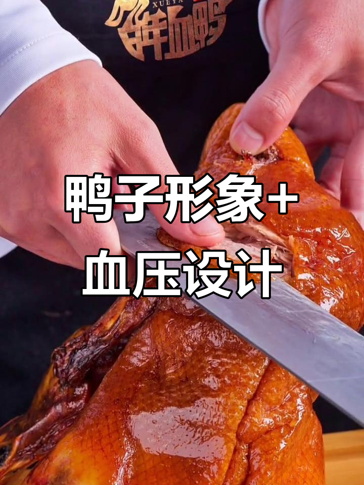 创意鸭头logo设计,百年血压与文字巧妙结合