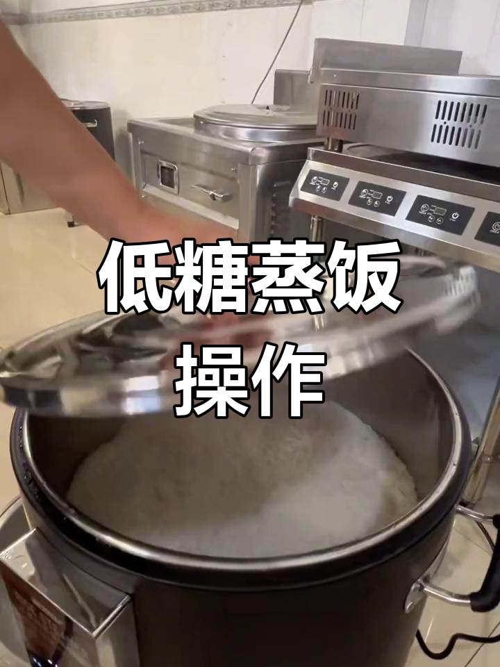 智能蒸饭机使用指南