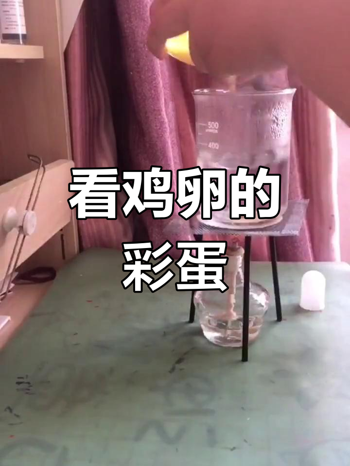 观察鸡卵,最后有惊喜!