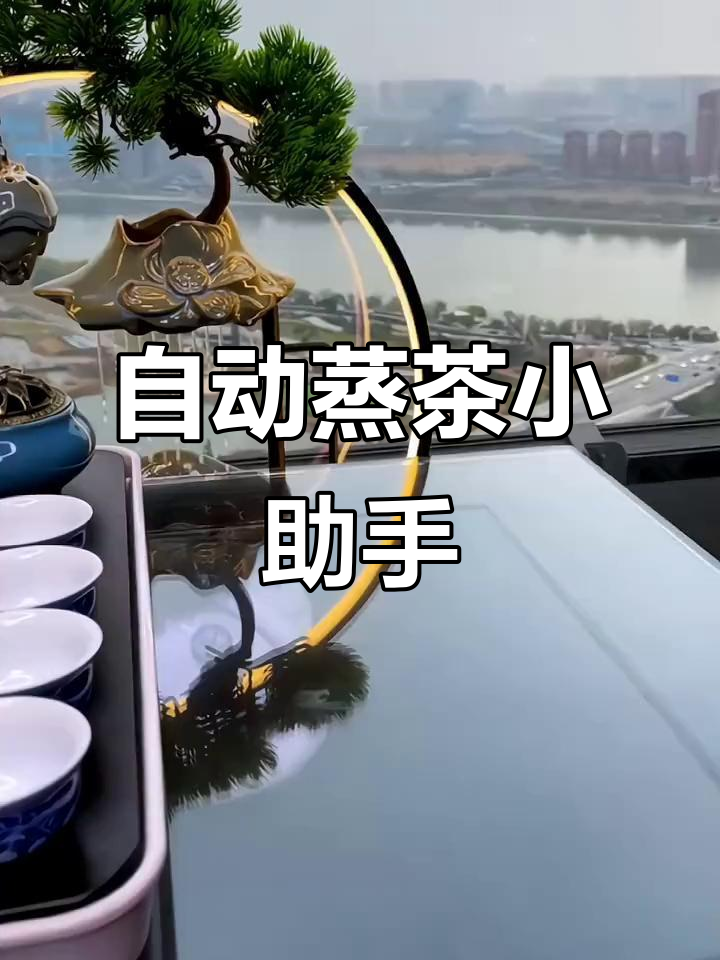 办公室迷你煮茶壶,全自动蒸汽功能,轻松享受精致茶时光